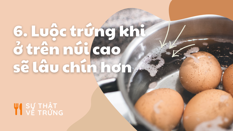 “Khoa hoc ve nau an” va nhung dieu thu vi cua qua trung-Hinh-6