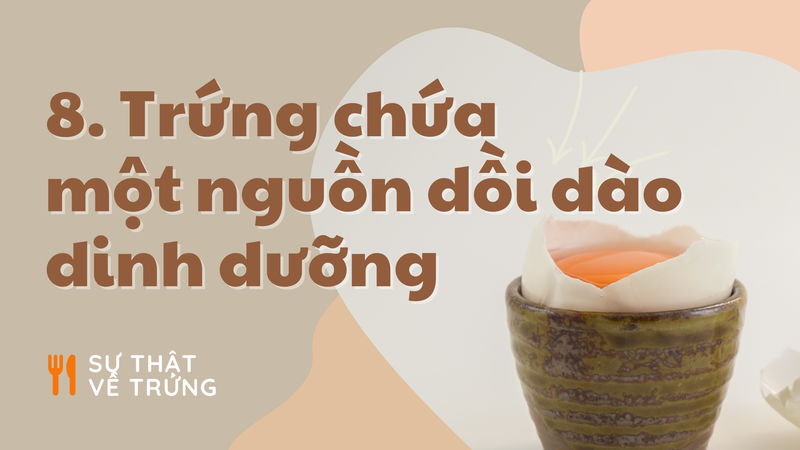 “Khoa hoc ve nau an” va nhung dieu thu vi cua qua trung-Hinh-8