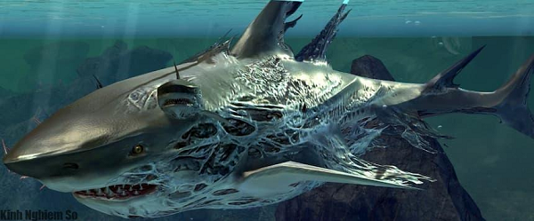 Tiet lo soc: Sieu ca map Megalodon con song, dang nau minh duoi dai duong?-Hinh-3