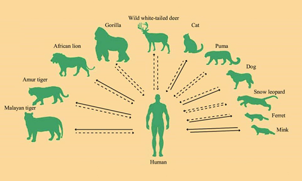 CDC Trung Quoc canh bao: Virus SARS-CoV-2 dang lan rong kho kiem soat!