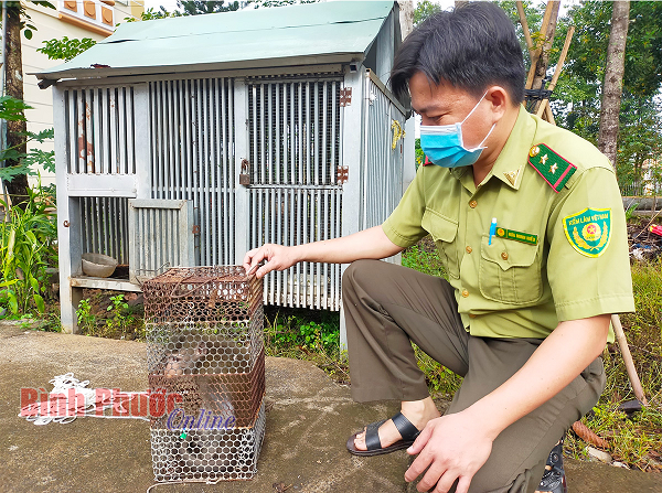 Khi duoi dai o Binh Phuoc duoc tha ve tu nhien: Quy hiem sao?-Hinh-2