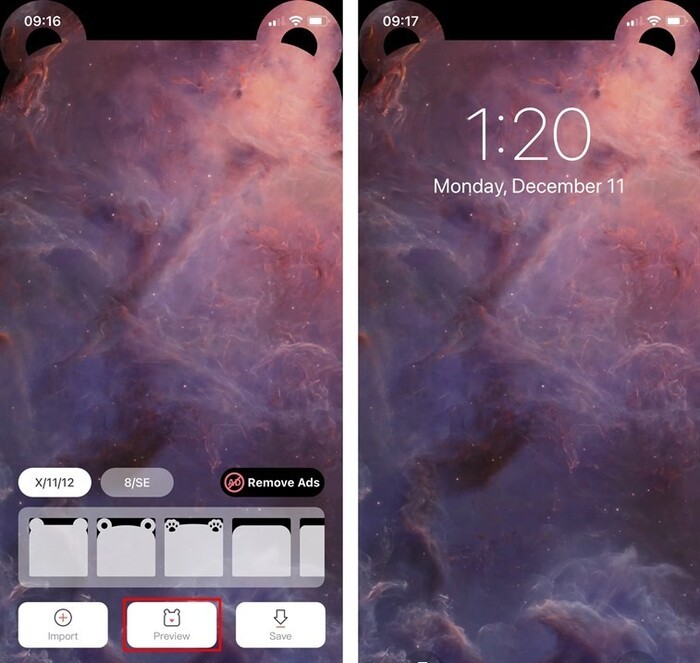 Chia sẻ bộ hình nền tai thỏ trên iPhone 11 siêu đẹp mà mình rất thích