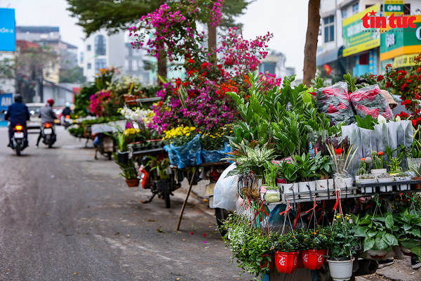 Khong khi Tet tran ngap tai cac cho hoa o Ha Noi-Hinh-12