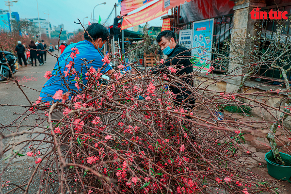 Khong khi Tet tran ngap tai cac cho hoa o Ha Noi-Hinh-14