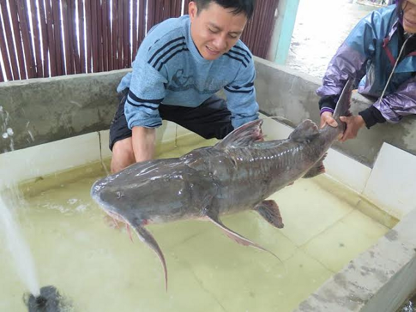 Giat thot minh loat “thuy quai” khung nhat song Da mac luoi ngu dan-Hinh-9