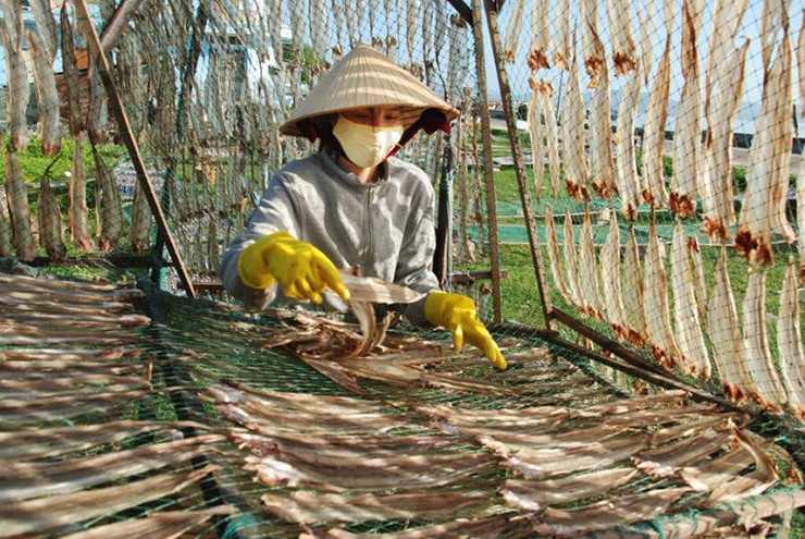 Loai ca “nha ngheo” tung bi che len che xuong, nay nha giau san rao riet-Hinh-11