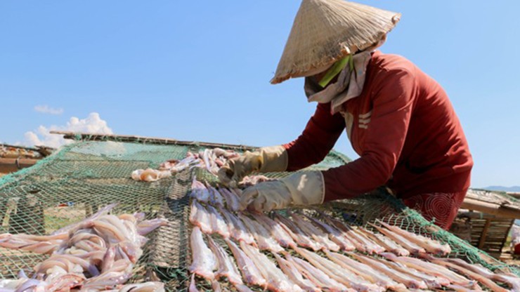 Loai ca “nha ngheo” tung bi che len che xuong, nay nha giau san rao riet-Hinh-6