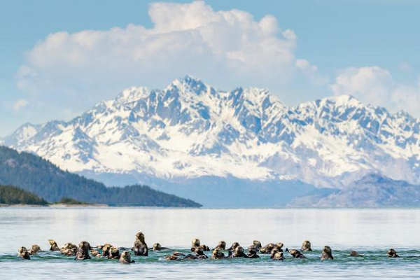 Bi an “vung dat chet” Alaska khien 16.000 nguoi boc hoi khong dau vet-Hinh-5