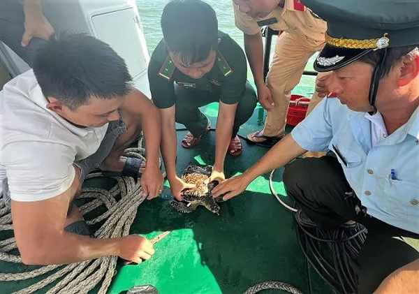 Rua bien sa luoi ngu dan Binh Dinh: Loai cuc ky nguy cap!