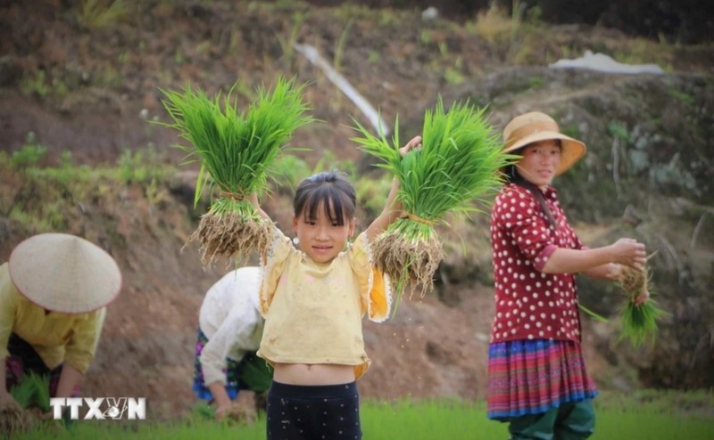 Ruong bac thang Khun Ha vao mua nuoc do-Hinh-4