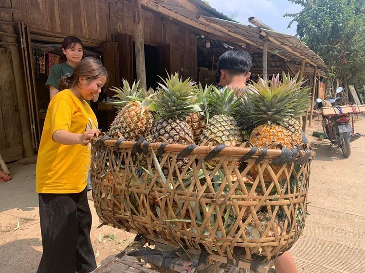 Trong loai cay nay dan ban “chia nhau” hang ty dong/nam