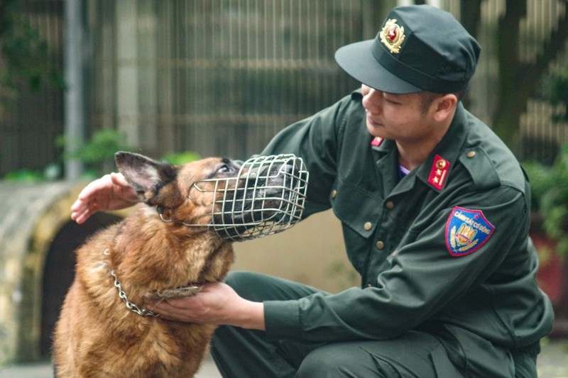 Xem Canh sat co dong CATP Ha Noi huan luyen chu cho nghiep vu-Hinh-11