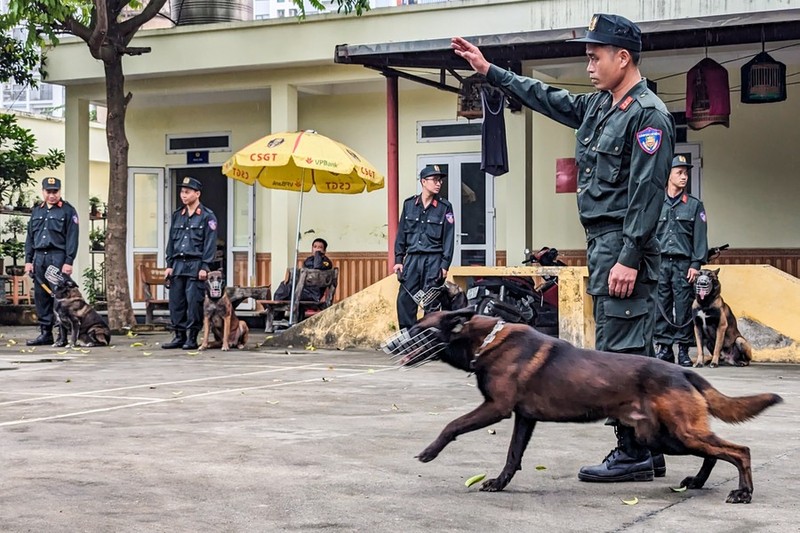 Xem Canh sat co dong CATP Ha Noi huan luyen chu cho nghiep vu-Hinh-5