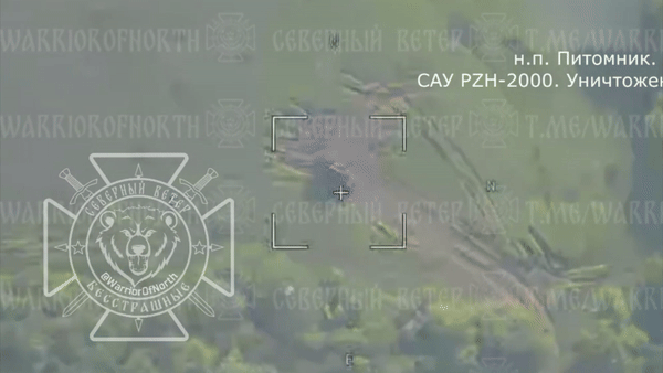 UAV Lancet tap kich phao tu hanh 'manh nhat the gioi' PzH 2000-Hinh-4