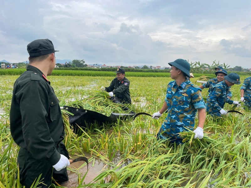 Canh sat co dong va bo doi giup dan gat lua chay lu-Hinh-4