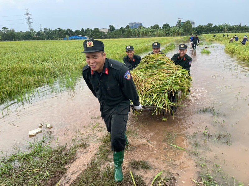 Canh sat co dong va bo doi giup dan gat lua chay lu-Hinh-9