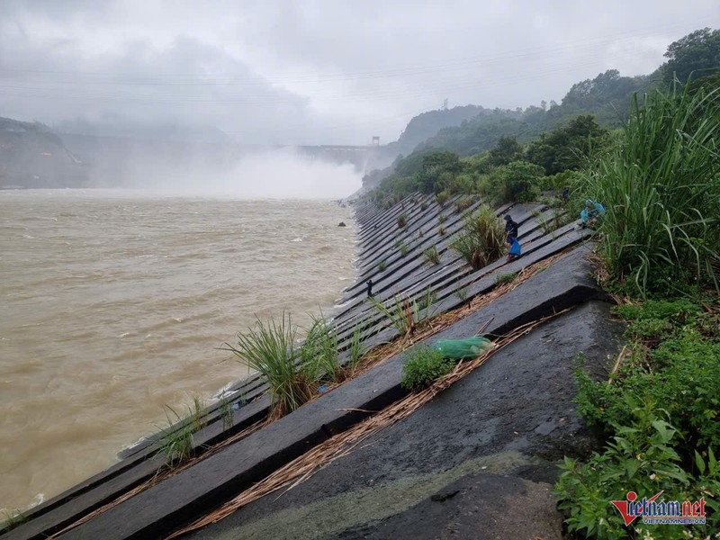 Thuy dien Hoa Binh xa lu, “can thu” van vo tu cau ca