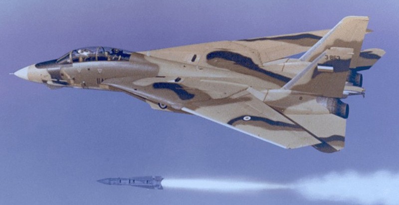 Phi doi F-14 Tomcat My cung cap cho Iran sap bi loai bien?-Hinh-17