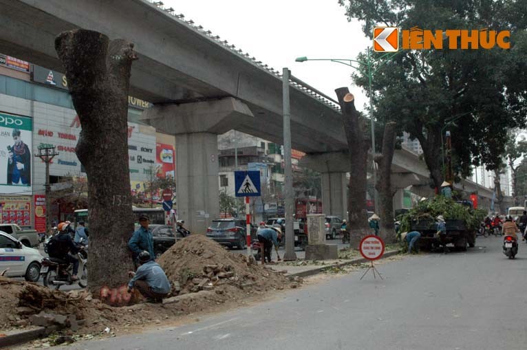 Xot xa canh don ha hang loat xa cu tren duong Nguyen Trai-Hinh-13