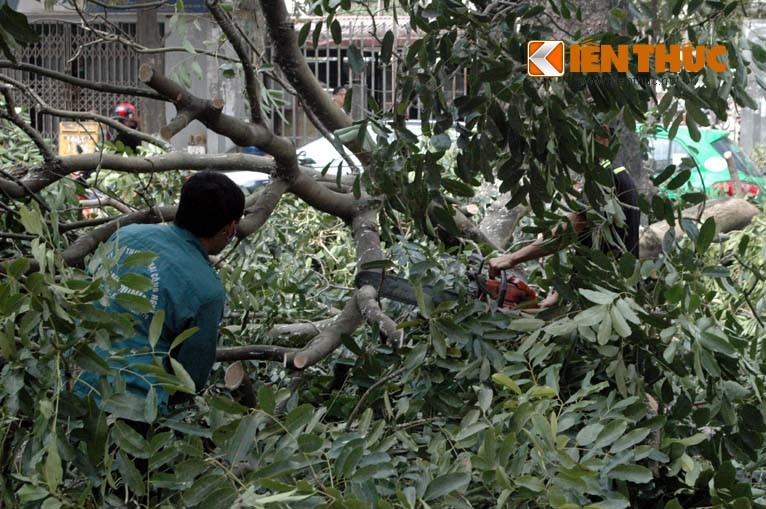 Xot xa canh don ha hang loat xa cu tren duong Nguyen Trai-Hinh-4