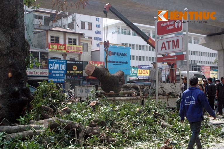 Xot xa canh don ha hang loat xa cu tren duong Nguyen Trai-Hinh-6