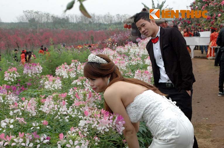 Thieu nu ao mong chup anh voi hoa giua ret Ha thanh-Hinh-9