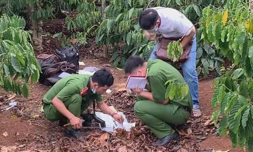 Loi khai nghi pham sat hai nu 9X trong ray ca phe