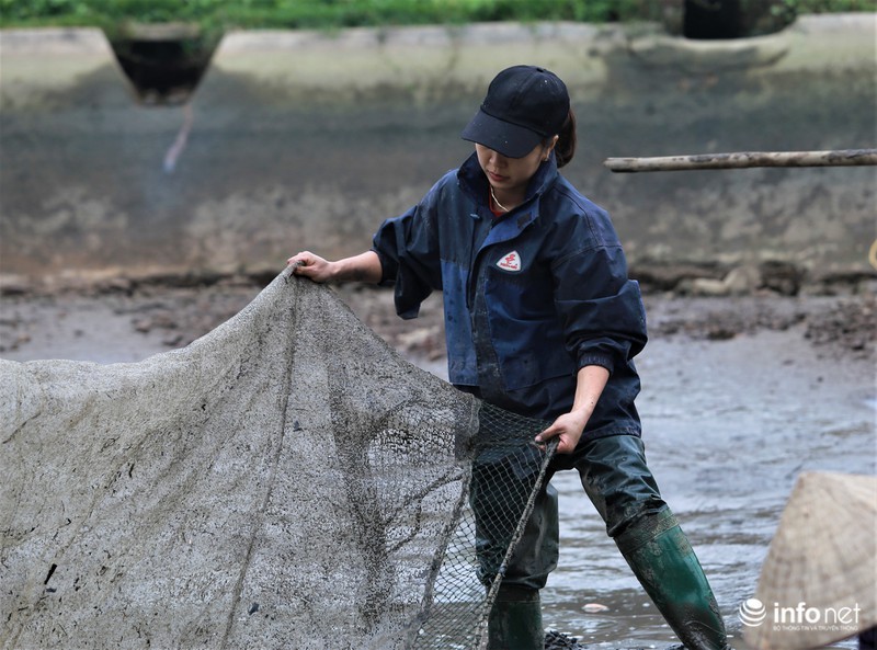 Da mat xem lang nuoi ca chep vang cung ong Cong, ong Tao-Hinh-4