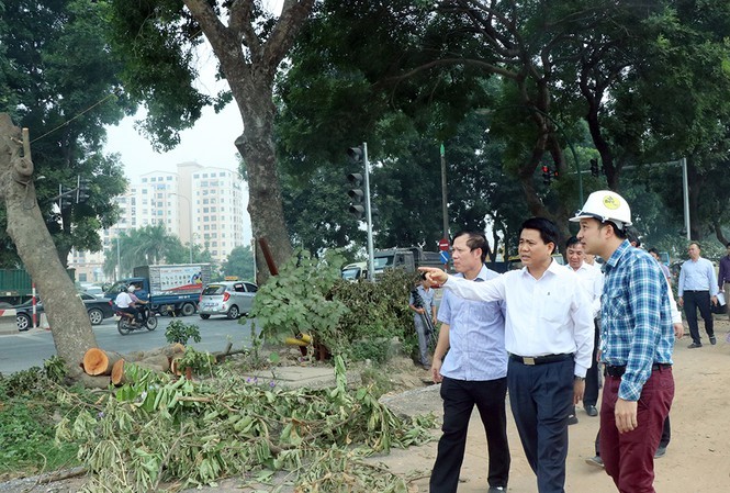 Cong ty Beepro bi to “bo roi” 106 cay co thu cua Ha Noi: Ong Tran Vuong Long la ai?-Hinh-4