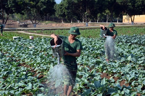 Muc kich Dac cong Viet Bac &quot;ren minh luyen nguoi&quot;-Hinh-17