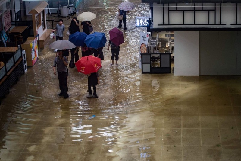 Cua kinh vo vun tai cao oc Hong Kong sau bao Mangkhut-Hinh-10