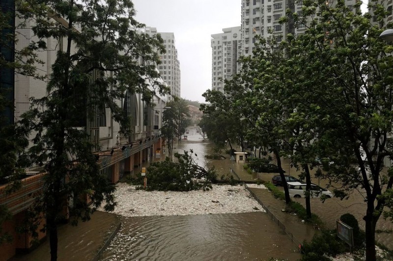 Cua kinh vo vun tai cao oc Hong Kong sau bao Mangkhut-Hinh-4