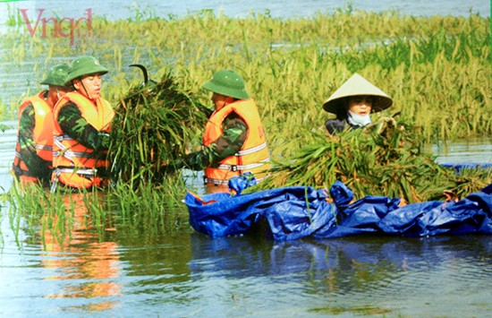 Ngo ngang nhung 