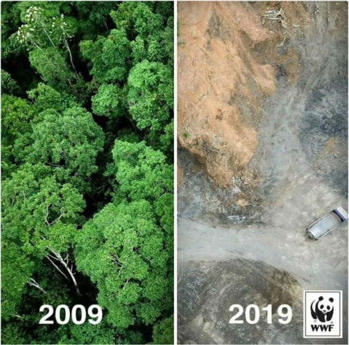 Tu nhien va trao luu #10yearschallenge dang suy ngam-Hinh-2