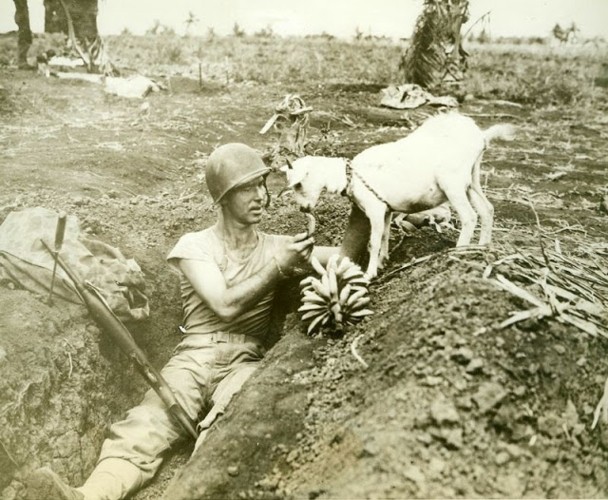 Khoanh khac nghi ngoi hiem hoi cua nhung nguoi linh trong The chien II-Hinh-8