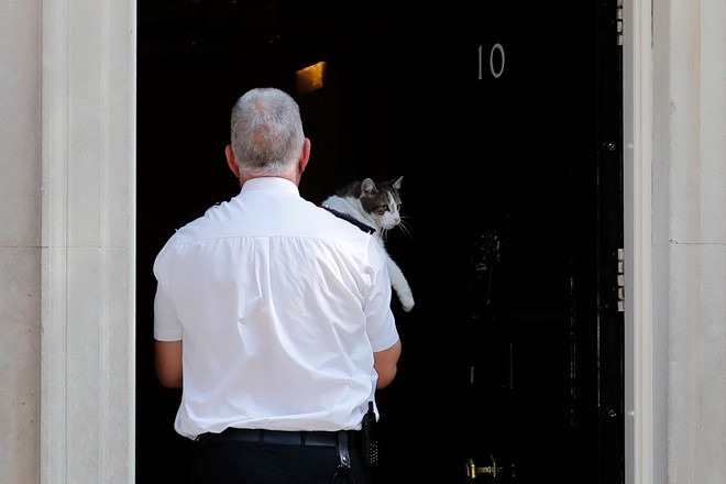 Nguoi Anh met moi vi Brexit, de cu meo Larry lam thu tuong moi