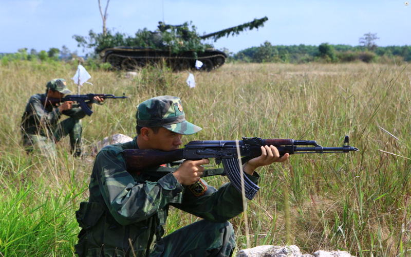 Chien binh tuong lai cua Viet Nam se mang gi ra chien truong?-Hinh-2