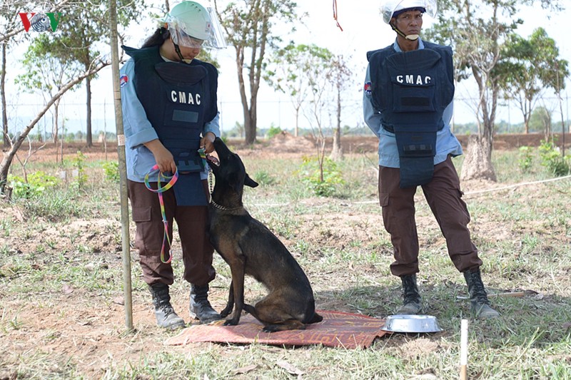 O nhiem bom min: Vet thuong kho co the lanh o Campuchia-Hinh-20