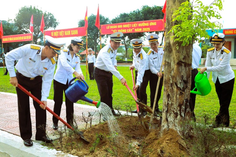 Vung 3 Hai Quan trong 2.000 cay xanh huong ung Tet trong cay