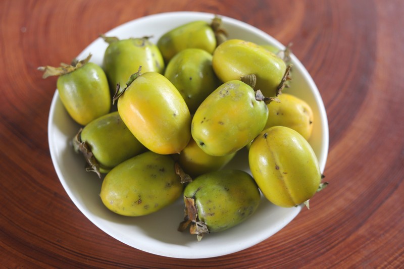 Trong cay lay bong mat, gio bong thu lai tram trieu-Hinh-10