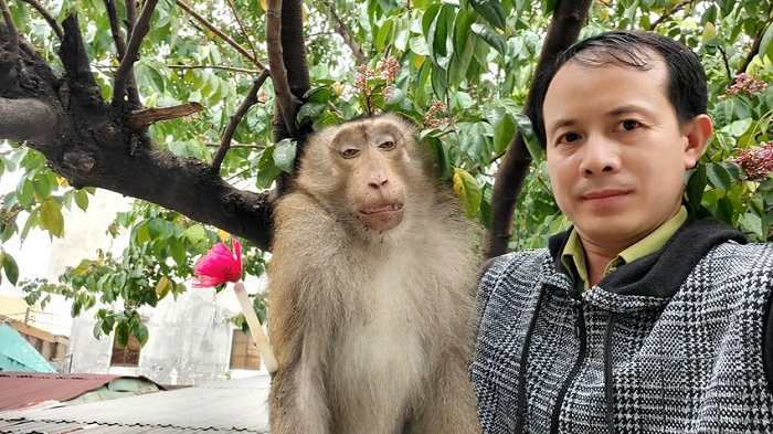 “Thu phuc” khi duoi lon 8 kg quay tung o TP.HCM