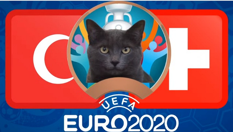 Meo tien tri, than rua du doan ti so World Cup 2022 28/11-Hinh-5