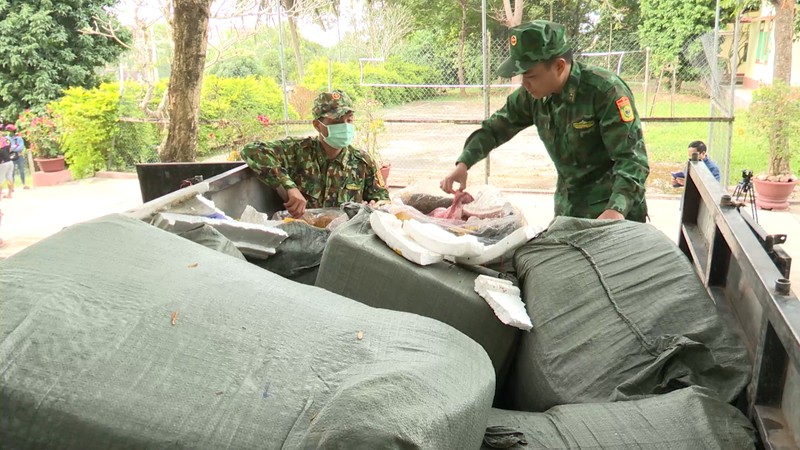 Quang Tri: Bat xe tai cho 2,5 tan noi tang dong vat hoi thoi