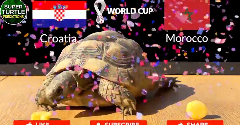 World Cup 2022: Dai bang, than rua du doan ket qua tran Croatia - Maroc-Hinh-9