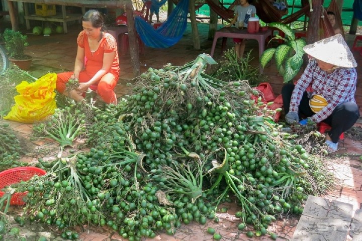 Buoi Dien xuat di Anh, nong san Viet 