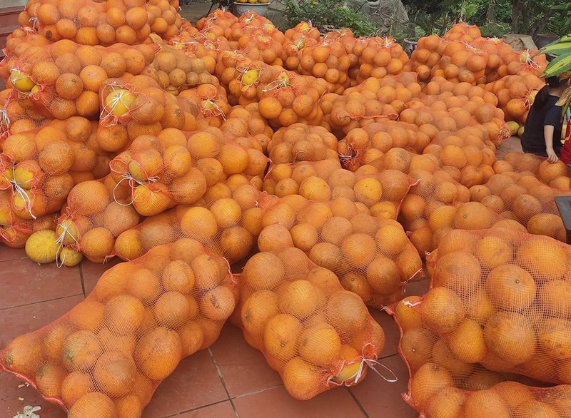 Dua nhau trong roi ‘vo tran’: Cam sanh dang phai ‘giai cuu’-Hinh-2