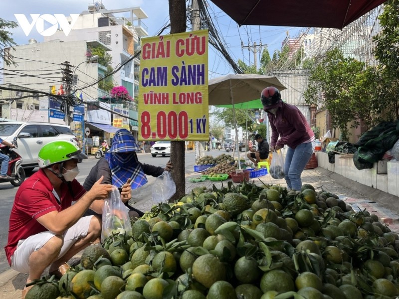 Dua nhau trong roi ‘vo tran’: Cam sanh dang phai ‘giai cuu’