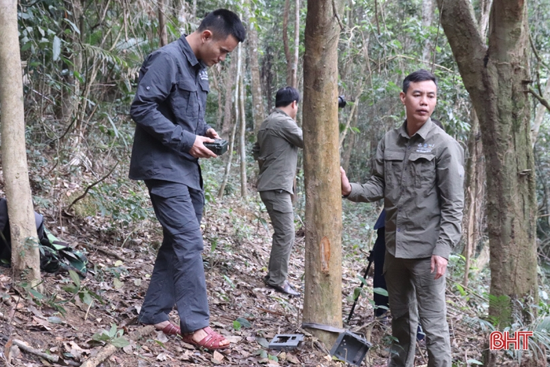 Dat “bay anh”, bat ngo phat hien dong vat sieu hiem tai VQG Vu Quang-Hinh-3