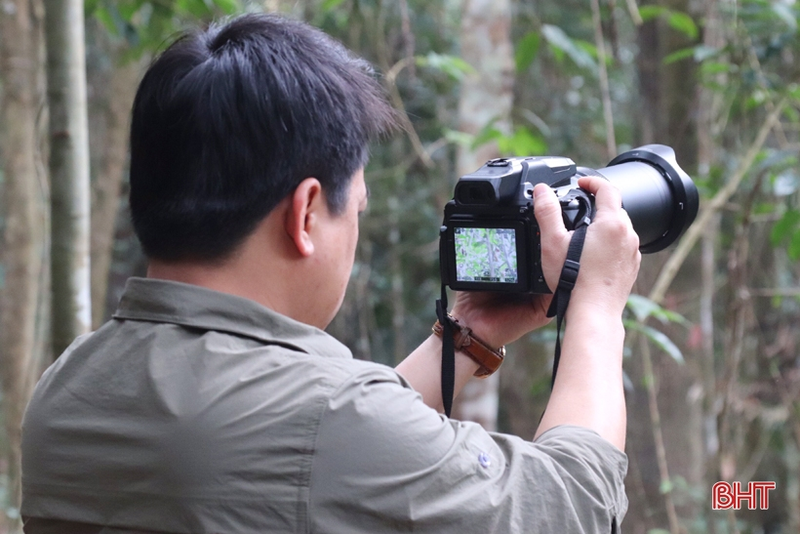 Dat “bay anh”, bat ngo phat hien dong vat sieu hiem tai VQG Vu Quang-Hinh-5