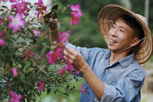 NSUT Viet Hoan: Se gia tu san khau o tuoi 60